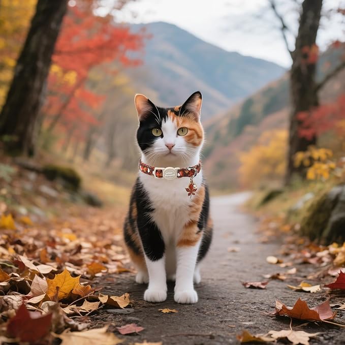 Unique style paws 2 Pack Autumn Halloween Kitten Collar Breakaway with Bell&Pendant, Adjustable Safety Bee Daisy Maple Leaf Cat Cotton Collar for Girl Boy Cat and Small Pet