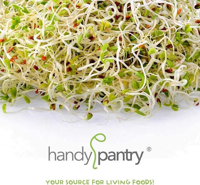 Handy Pantry Organic Birdseed - 5 Lb - Sprouting Bird Seed Mix for Small, Medium & Large Birds- Feed for Songbirds, Parakeets, Parrots, etc