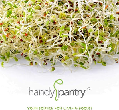 Handy Pantry Organic Birdseed - 5 Lb - Sprouting Bird Seed Mix for Small, Medium & Large Birds- Feed for Songbirds, Parakeets, Parrots, etc