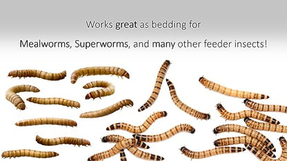 3 lb. Wheat Bran Bedding/Gutload for Mealworms and Superworms by Five-Star Feeders, 48 Ounces