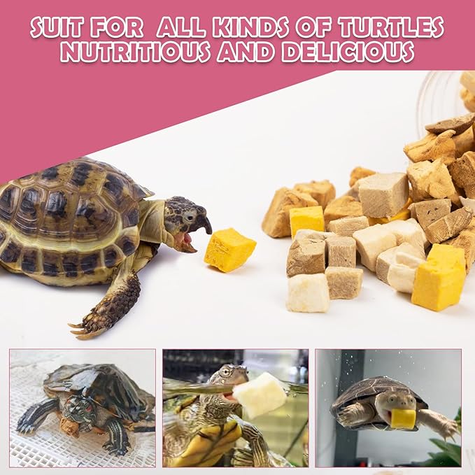 Freeze Dried Aquatic Turtle Food – 5-in-1 Chicken, Duck, Salmon, Egg Yolk & Liver Protein Blend, Scientifically Balanced for Box & Aquatic Turtles (145g)