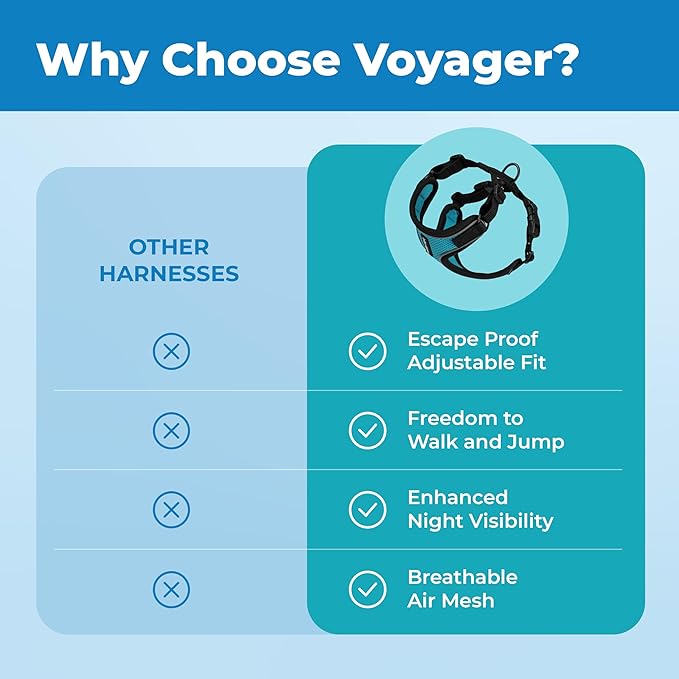 Voyager Escape Proof Cat Harness and Leash Set with Reflective Stitching, Neoprene Handle 5ft - Supports Small, Medium and Large Cats, Kittens for Walking by Best Pet Supplies - BT-Turquoise, XXXS