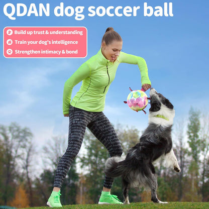 QDAN Dog Balls, Dog Soccer Ball with Straps, Puppy Toy Balls for Small Medium Dogs, Dogs Water Toys Pool Toys, Puppy Pet Birthday Gifts, Rainbow（6 Inch）