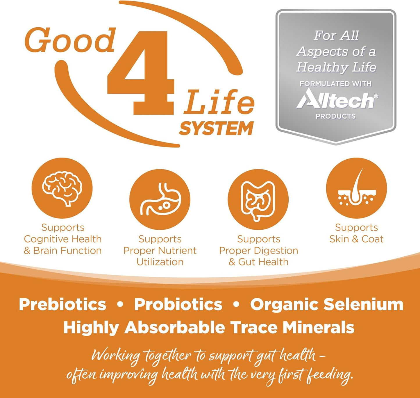 NutriSource Adult Dry Dog Food, Lamb Meal and Rice, 12LB