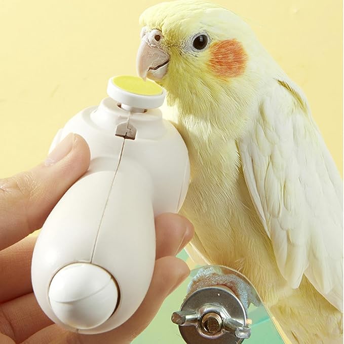 Parrot Beak Trimmer | Noiseless Rechargeable Beak Trimmer - Gentle Grooming Tool, Nail Trimming Machine with 6 Grinding Heads for Budgerigars