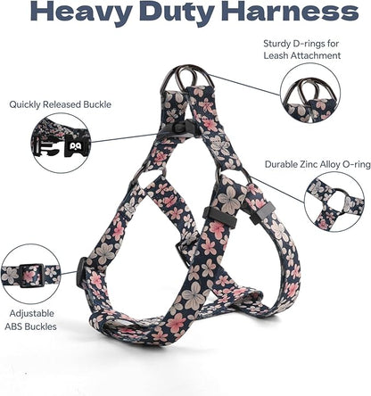 QQPETS Dog Harness Leash Set Adjustable Heavy Duty No Pull Halter Harnesses for Small Medium Large Breed Dogs Back Clip Anti-Twist Perfect for Walking