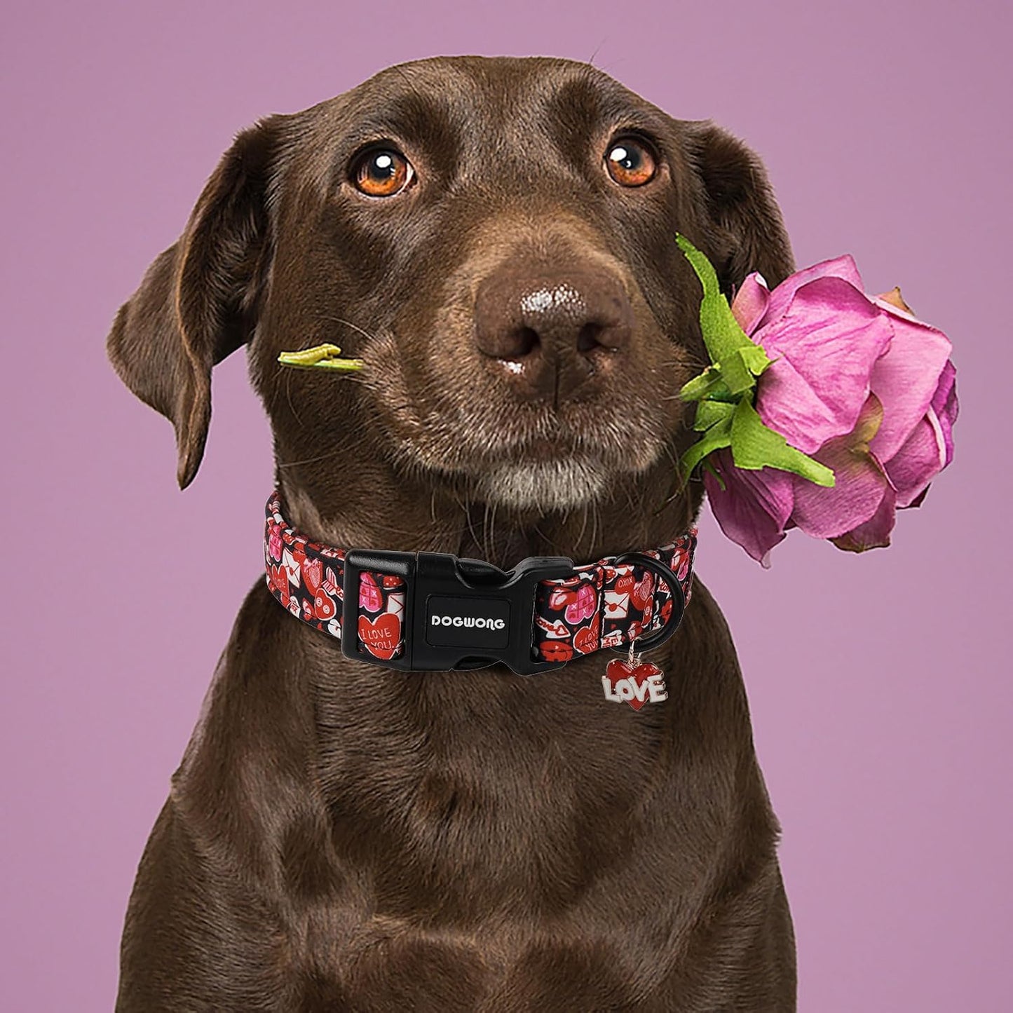 DOGWONG Valentine Dog Collar- Cute Red Heart Dog Collars Adjustable Durable Designer Valentine’s Day Dog Collar for Small Medium Large Dogs XL