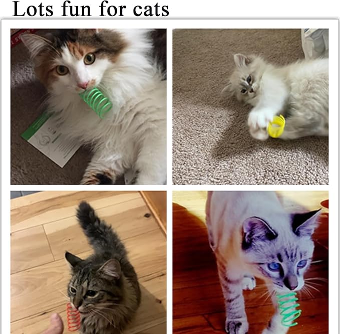 Cat Spring Toys, Bouncy Coil Kitty Cats Spiral Spring Toy for Indoor Cats Heavy Interactive Cat Toys Springy Chew Toys Colorful Springs Cat Toy for Biting, Swatting, Hunting Entertainment Kitten Toys