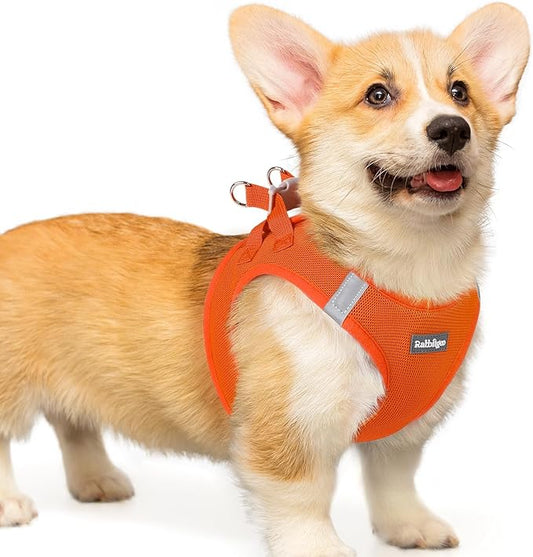 rabbitgoo Small Dog Harness, Step-in Soft Mesh Puppy Vest with Safety Buckle, Breathable Reflective Pet Harness for Small Medium Dogs, Orange L