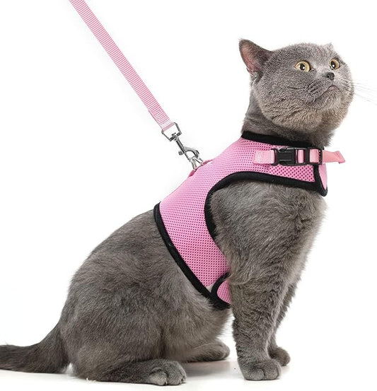 PUPTECK Soft Mesh Cat Vest Harness and Leash Set Puppy Padded Pet Harnesses Escape Proof for Cats Small Dogs Rabbits Bunny