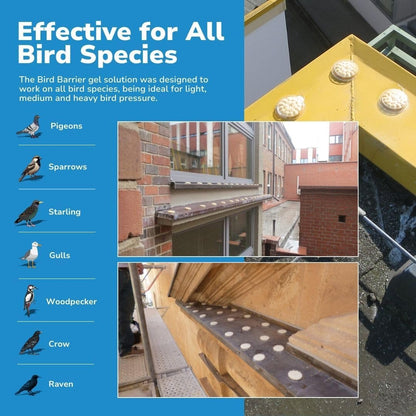 Bird Barrier Optical Gel 24 Pack | Natural Multisensory Bird Deterrent | Easy Installation | Discreet Appearance | Long-Lasting Solution | Repels Birds on Roofs, Beams Signs, Soffits, Ledges, and More