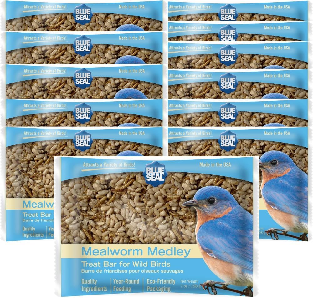 Blue Seal Mealworm Medley Suet Treat Bars for Wild Birds - No Mess Suet Feed for Woodpeckers, Cardinals, Siskins, Sparrows & More - 7 oz Bird Seed Cakes (Pack of 12)