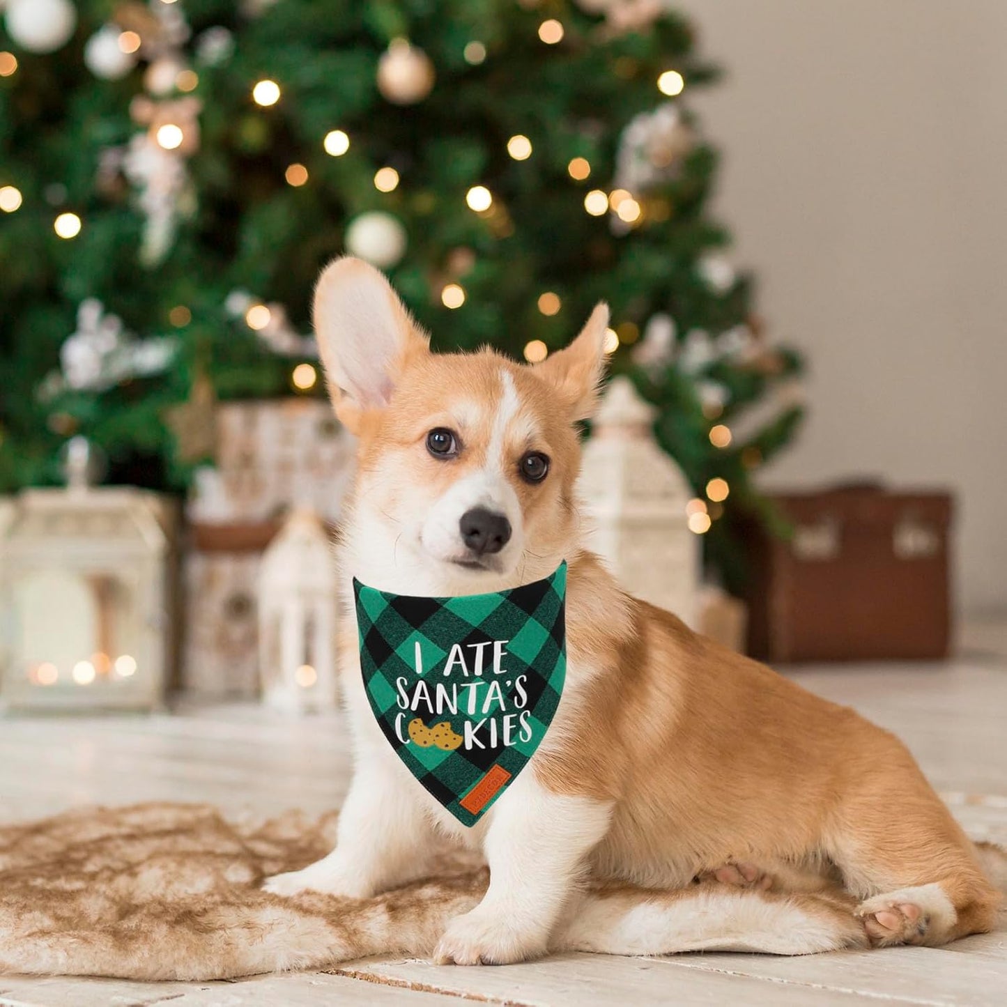 PTDECOR 2 Pack Dog Christmas Bandanas, Classic Red Green Plaid Pet Scarf Triangle Bibs Kerchief Christmas Bandanas for Medium Large Dogs Pets (Large)