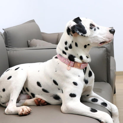 Daisy Summer Cotton Dog Collar with Metal Buckle Gift Pink Collar for Small Medium Large Girls or Boys Dogs Cute Durable Comfortable Pet Collars