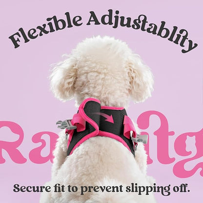 rabbitgoo Dog Harness Small Sized and Leash Set, Step-in Breathable Pet Harness, Soft Walking Reflective Puppy Vest for Small Dogs, Black & Rose Red, S