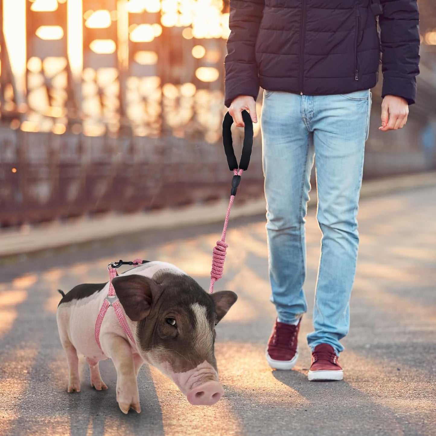 Mini Pig Harness, Adjustable Small Pig Harness with Leash Infinity Style Lead and Soft Foam Handle for Small to Medium Pet Pigs Walking Training Jogging (Pink, M)