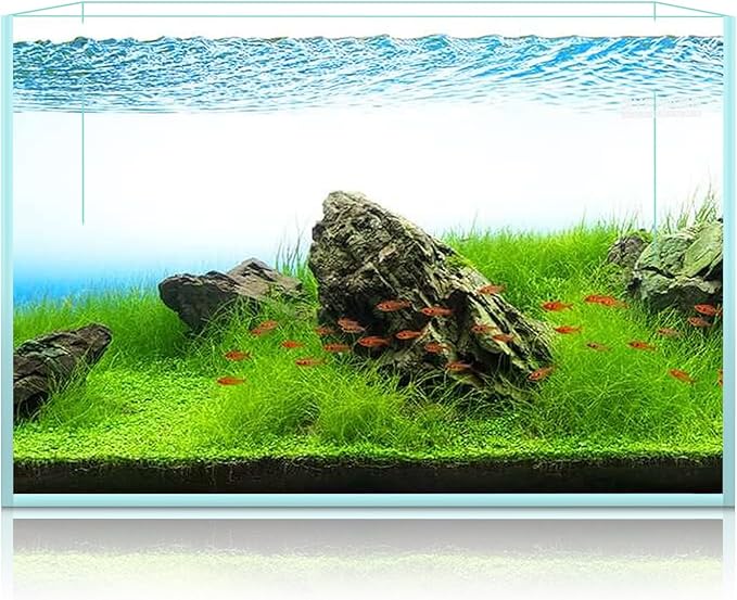 LYPHARD AQUARIUMS 15 Gallon Rimless Aquarium, Ultra Clear Glass Low Iron Rectangular Fish Tank L19.6×W13×H13.8 Inches Thickness 6mm with EVA Foam Mat Included