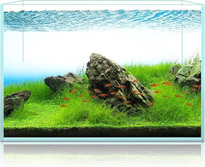 LYPHARD AQUARIUMS 15 Gallon Rimless Aquarium, Ultra Clear Glass Low Iron Rectangular Fish Tank L19.6×W13×H13.8 Inches Thickness 6mm with EVA Foam Mat Included