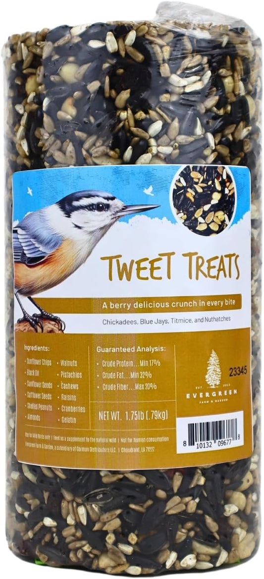 Birdseed Cylinders with Hole - Bird Seed for Outside Wild Birds (Small Cylinder, Tweet Treats 1pc)