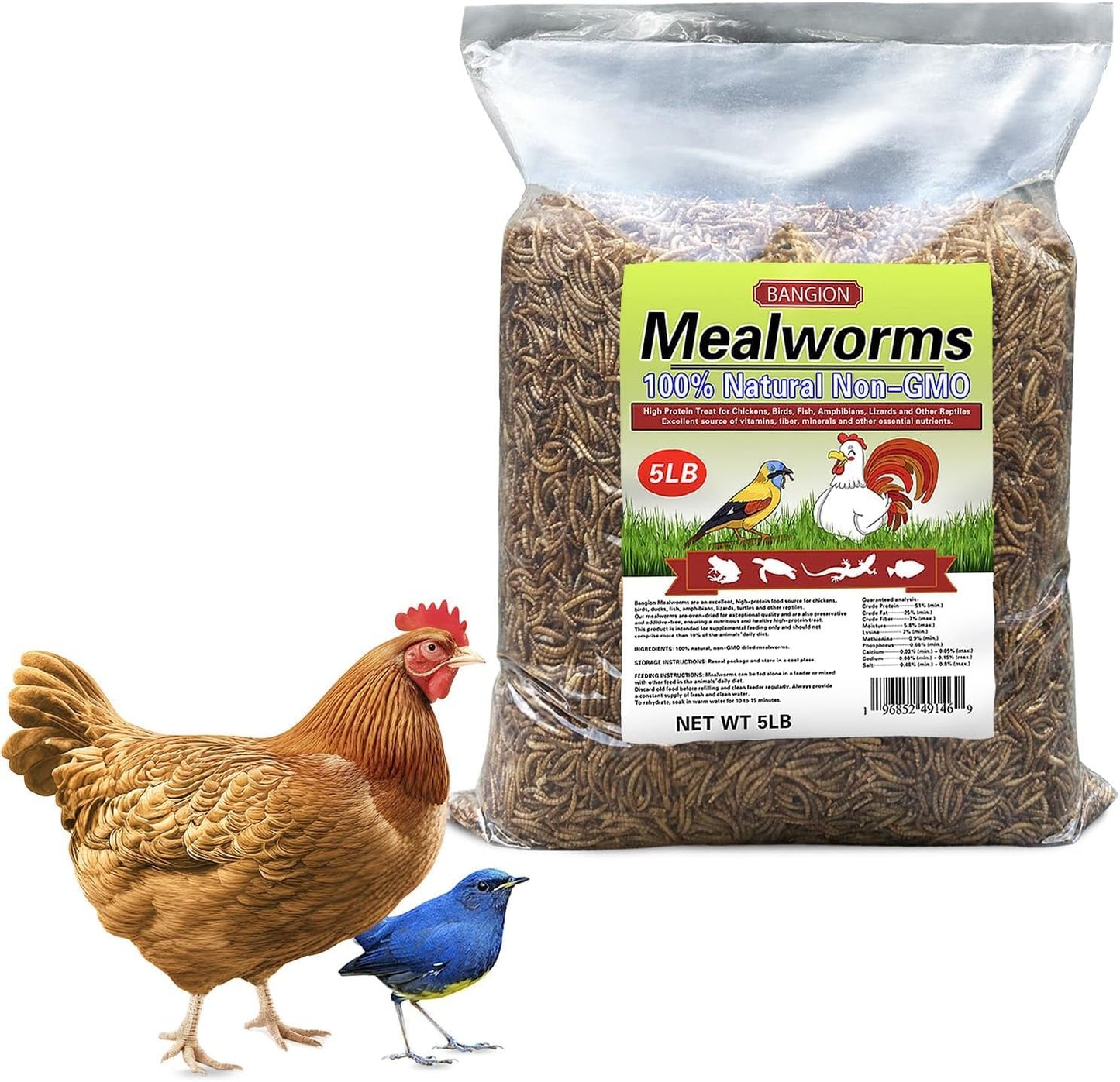 Organic Dried Mealworms for Chickens 5 LB Natural Non-GMO Mealworms High Protein Chickens Feed Meal Worms for Chicken Wild Birds Bluebirds Ducks Turtles Reptiles Laying Hens Treats & Food