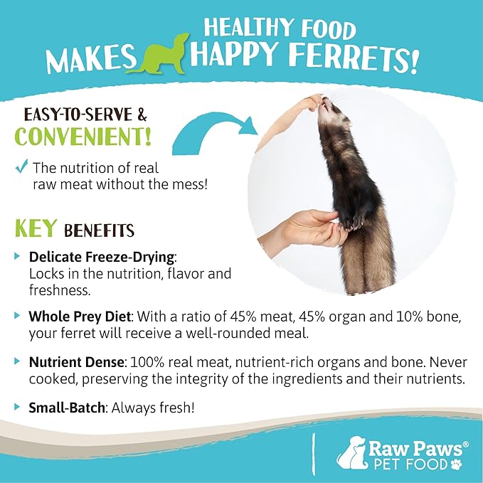 Raw Paws Freeze Dried Ferret Food - Beef Recipe, 16-oz - Made in USA - Grain Free Ferret Diet for Small, Adult, Senior & Baby Ferrets - Natural Ferret Treats for Rewarding & Training - Ferret Food Dry