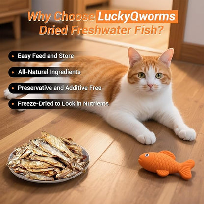 Dried Freshwater Fish, 1 Lbs Resealable Bag - Natural High-Protein Food for Turtles, Reptiles, Large Tropical Fish, Cats, Small Pets and Chicken - Crude Protein 30% Min