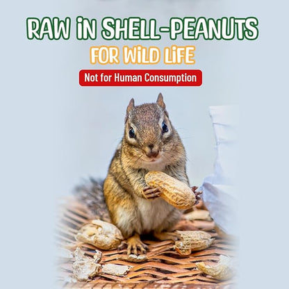Premium Quality Raw Peanuts in Shell - 5 Pounds – All-Natural Food for Squirrels, Deer, Birds, and Other Wildlife Animals – Grown in The USA for Healthy Nutrition