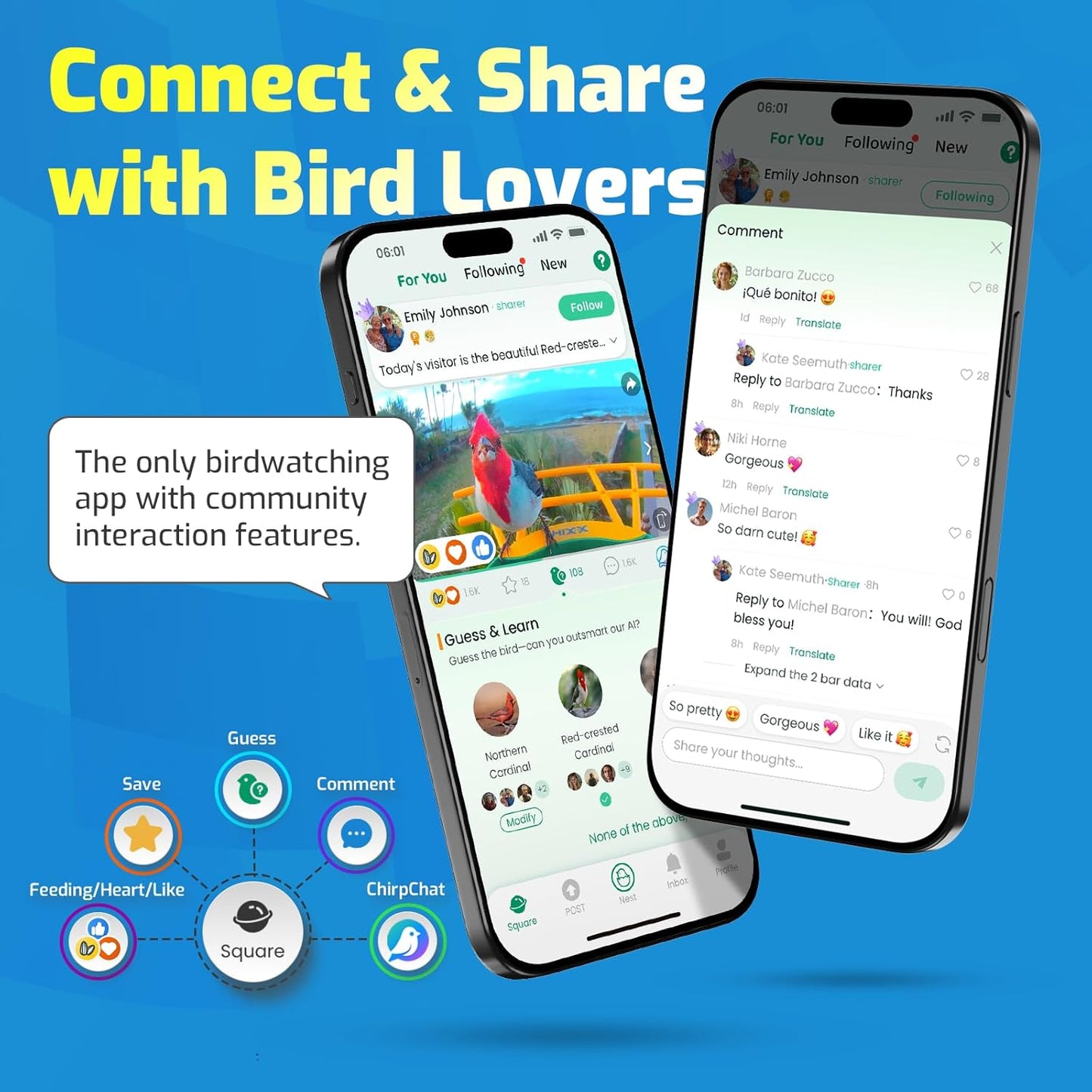 HIXX Smart Hummingbird Feeder with Camera Solar Powered with CoolBirdie Collectible, Ant Moat& Bee Proof, Easy Clean, Includes Limited Edition Plush Bird Toy, for Hummingbird Lover&Family