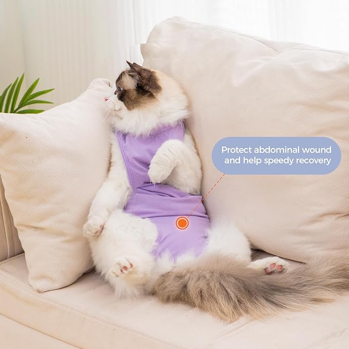 Avont Cat Recovery Suit Post-Surgery Onesie, Breathable Cone-of-Shame Alternative Bodysuit for Spayed Female Kittens, Skin Abdonminal Wound Care -Purple(S)