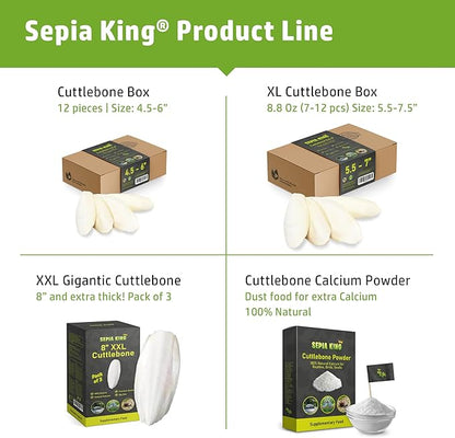 Crushed - 100% Natural Calcium Supplement - Premium Cuttlebone Perfect for Birds, Tortoises, Snails, Reptiles - 3.5 oz