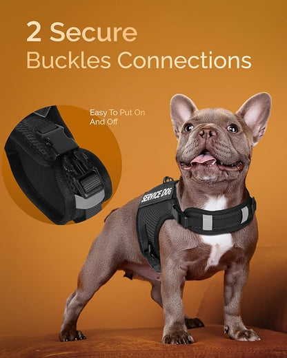 FAYOGOO Service Dog Vest for Small Dogs - Air Mesh Breathble Emotional Support Animal Vest with Velcro Patches - Puppy Harness and Leash Set Adjustable Neck and Chest