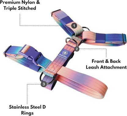 Spark Paws No Pull Dog Harness for Large Dogs, Heavy Duty Dog Harness for Big Strong Breeds, Adjustable, Y Shaped Padded Halter Design with Front Clip - Kaleidoscope- L