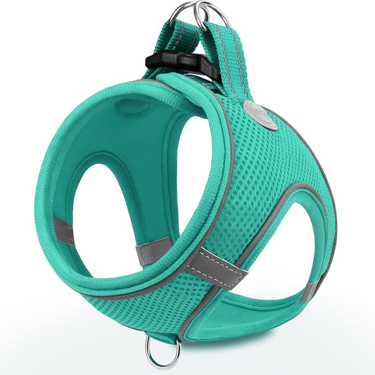 Joytale Small Dog Harness, Breathable Mesh Step-in Vest, Reflective Soft Padded Harnesses for Puppies and Extra Small Dogs, Teal, XS