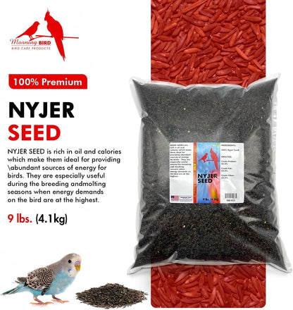 Morning Bird Nyjer Seed for Birds 9 lbs – Energizing Nutrition with Rich in Vitamins and Supplements – Ideal Bird Food for Breeding & Molting – Nyjer & Finch Seed for All Birds