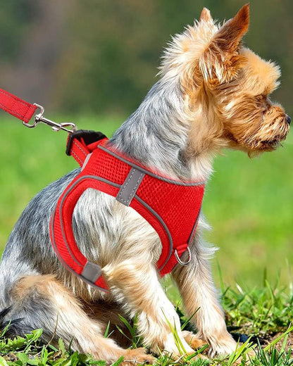 Joytale Small Dog Harness, Breathable Mesh Step-in Vest, Reflective Soft Padded Harnesses Small Sized Dog for Walking, Red, S