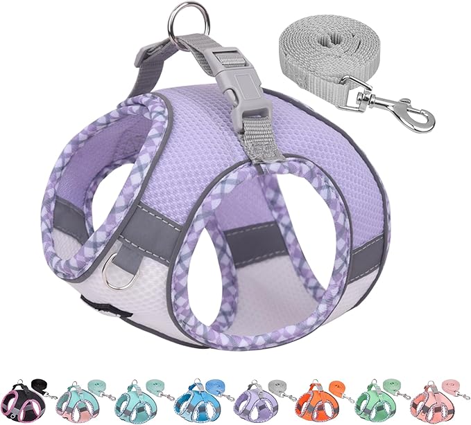 AIITLE Dog Harness and Leash Set - Ultra-Comfortable XXS-XL Vest with Strong Magic Tape & Glow-in-Dark Reflective Strips, Chafe-Free for Teddy, Schnauzer (Purple-White, M)