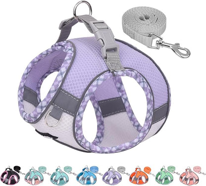 AIITLE Dog Harness and Leash Set - Ultra-Comfortable XXS-XL Vest with Strong Magic Tape & Glow-in-Dark Reflective Strips, Chafe-Free for Teddy, Schnauzer (Purple-White, M)