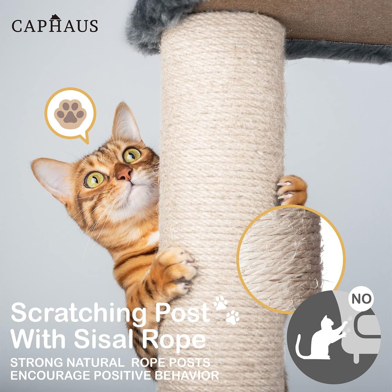 CAPHAUS Tall Cat Tree for Indoor Cats, Modern Cute 70-Inch Climbing Play Tower with Top Perch Large Cats Kittens, Multi-Level Activity w Scratching Posts, Hammock, Cave Condo, Smoky Grey