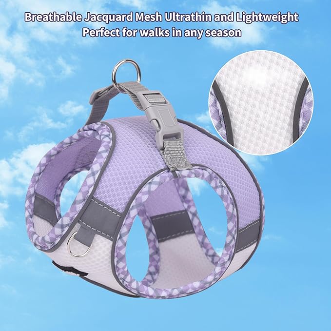 AIITLE Dog Harness and Leash Set - Ultra-Comfortable XXS-XL Vest with Strong Magic Tape & Glow-in-Dark Reflective Strips, Chafe-Free for Teddy, Schnauzer (Purple-White, M)