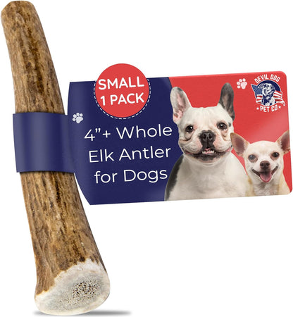 Devil Dog Pet Co. Elk Antlers for Dogs, Petite 3.5"+, 6 Pack, Grade A Long Lasting Chew for Aggressive Chewers, Premium USA Naturally Shed Antler – Healthy, No Odor, Durable Dog Chew