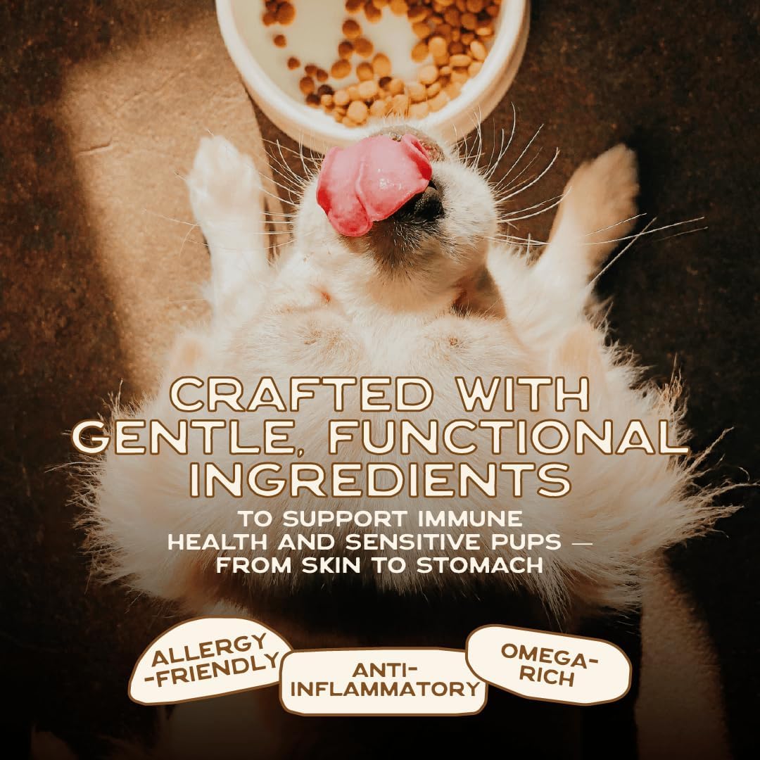 Smart Cookie Natural Dog Food Topper - Superfood - Salmon Dog Meal Mixer for All Ages - Food Topper for Picky Eaters and Boosting Nutrition - Non GMO, Made in The USA - 7 oz Bag (15 Day Supply)