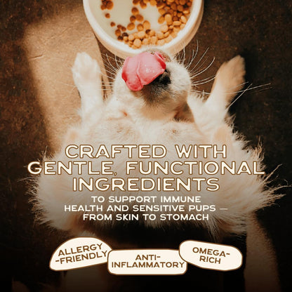 Smart Cookie Natural Dog Food Topper - Superfood - Salmon Dog Meal Mixer for All Ages - Food Topper for Picky Eaters and Boosting Nutrition - Non GMO, Made in The USA - 15 oz Bag (30 Day Supply)