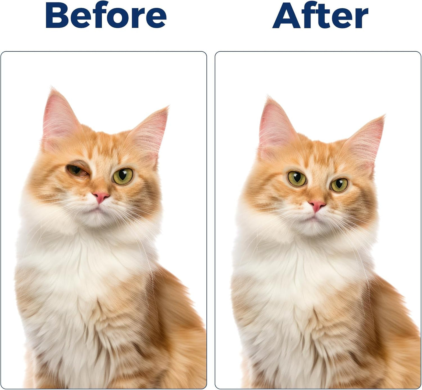 Pet Eye Cream, Health Premium Tube Eye Cream Suitable for Dog, Cat, Cattle, Horse, Sheep, Squirrel, Bird Fit for All Pets (3.5gr/1 Per Tube) 1 Pack