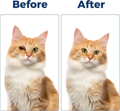 Pet Eye Cream, Tube Eye Cream Suitable for Dog, Cat, Cattle, Horse, Sheep, Squirrel, Bird Fit for All Pets (3.5gr/1 Per Tube) 1 Pack