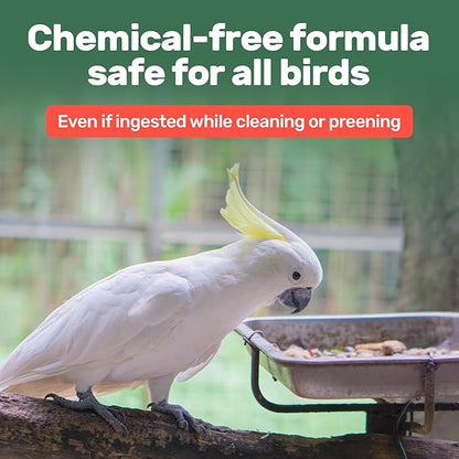 Aloe Vera Bird Spray - 8.5oz/251mL - [Made in USA] - Non-Toxic Bird Bath Relieves Dry/Itchy Skin & Softens Feathers - Safe & Effective for All Birds - Promote Healthy Plumage - Odor-Free