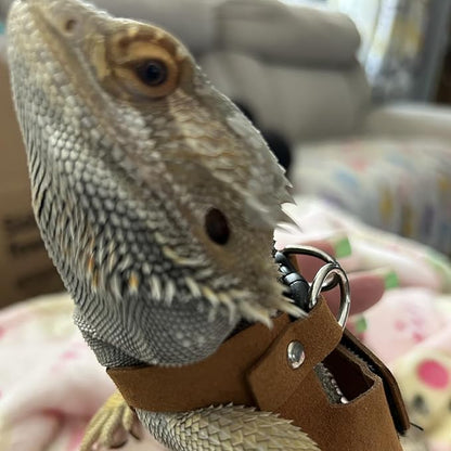 3 Pack Bearded Dragon Harness Leash Set Adjustable Soft Suede Leather Vest Harness with Retractable Leash, Small Animal Outdoor Walking Vest with Traction Rope