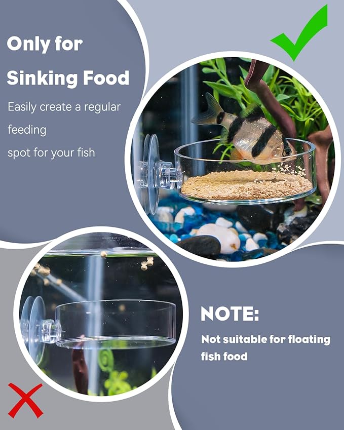 Pawfly Shrimp Feeding Dish with Suction Cup, Clear Acrylic Aquarium Shrimp Feeder Dish, Fish Feeding Tray for Freshwater and Saltwater Tanks