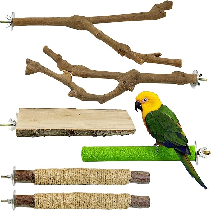 kathson 5pcs Natural Parrot Perch for Cage Wooden Bird Perches Grape Bird Stick Parakeet Climbing Standing Branches Toy Chewable Cage Accessories for Small Budgies Cockatiels Lovebirds Budgies