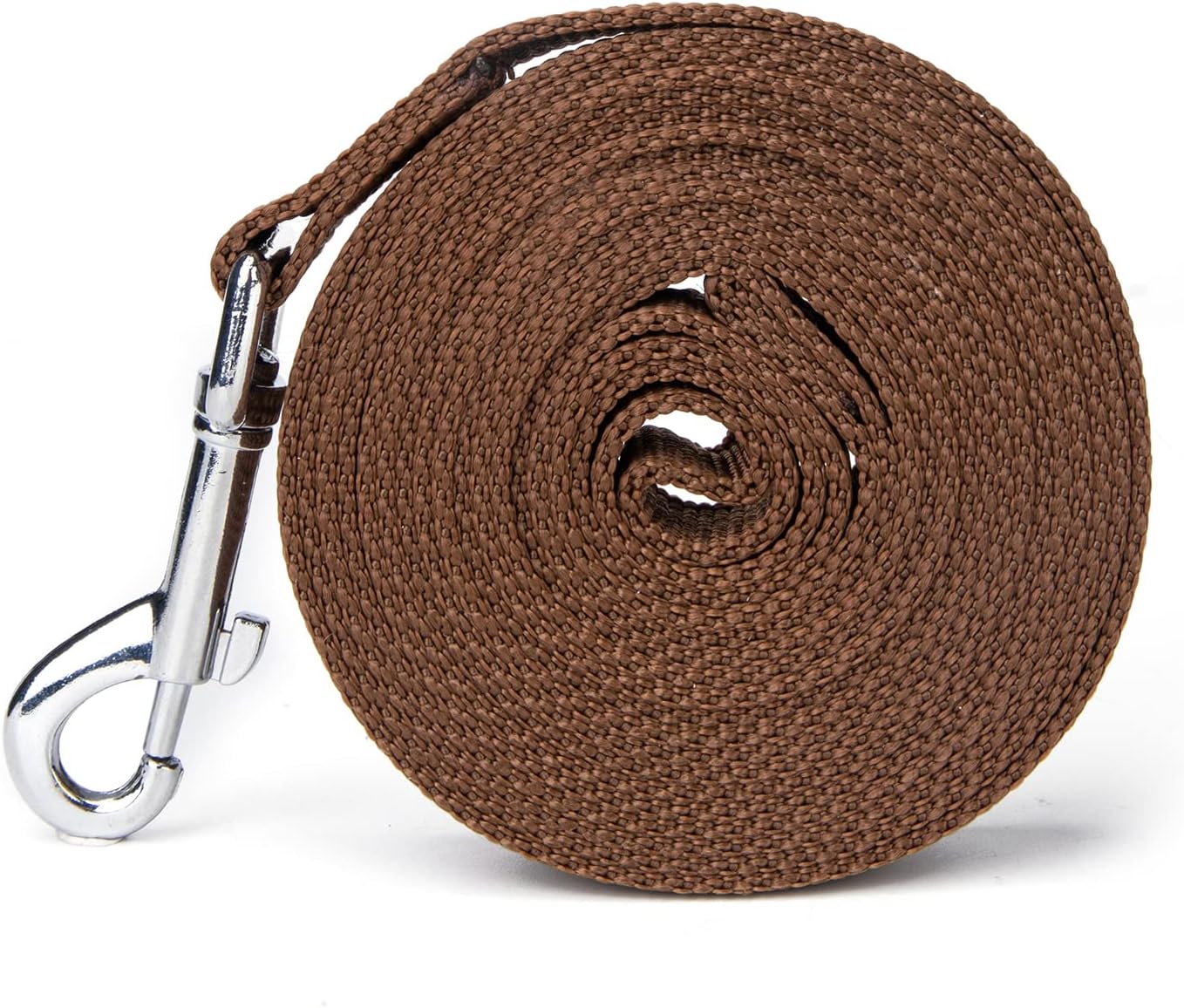Strong Durable Nylon Dog Training Leash, 1 Inch Wide Traction Rope, 6 ft 10ft 15ft Long, for Small and Medium Dog (Brown, 10 Feet)