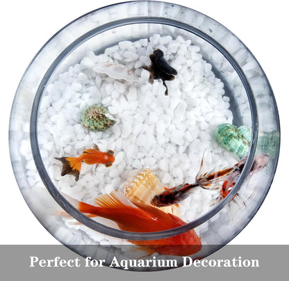 5lb Rocks Polished Silica Gravel for Plants Garden, Decorative Pebbles Ideal for Fish Tank, Vases, Succulents, Crafting, Home Decor and Garden Landscaping, Snow White(0.16-0.24”)